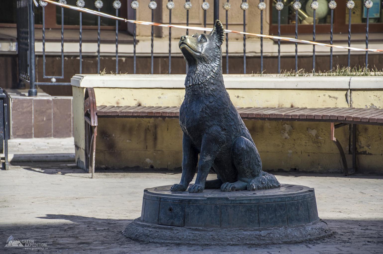 Памятник бездомным животным (Оренбург)