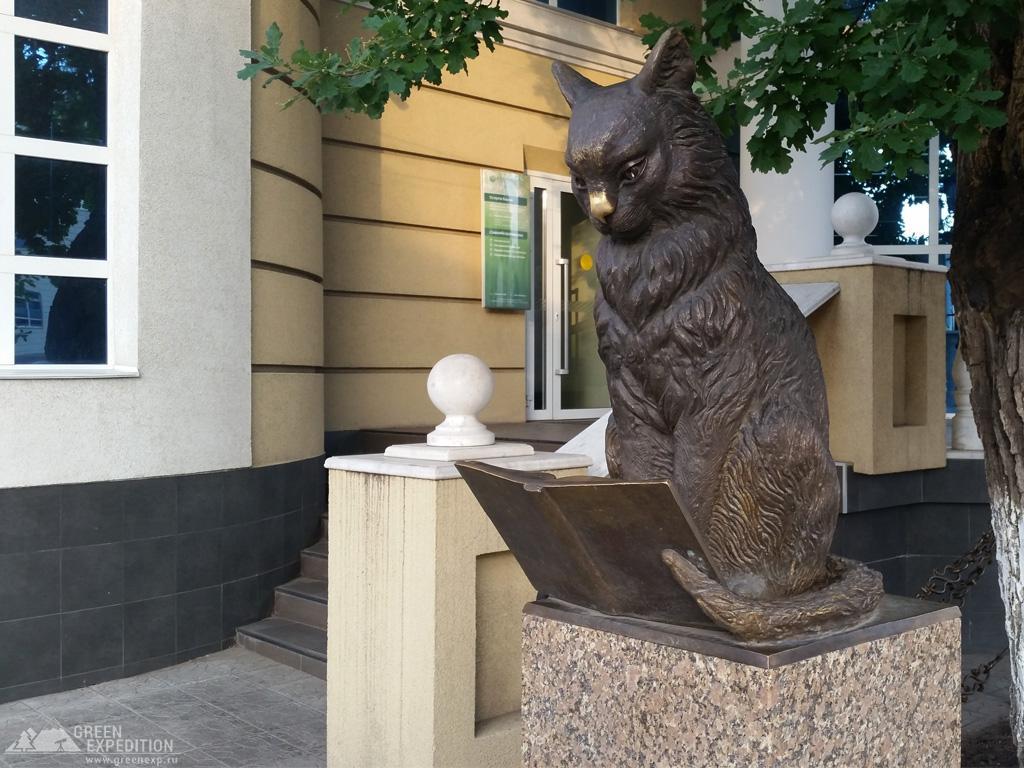 Памятник ученому коту